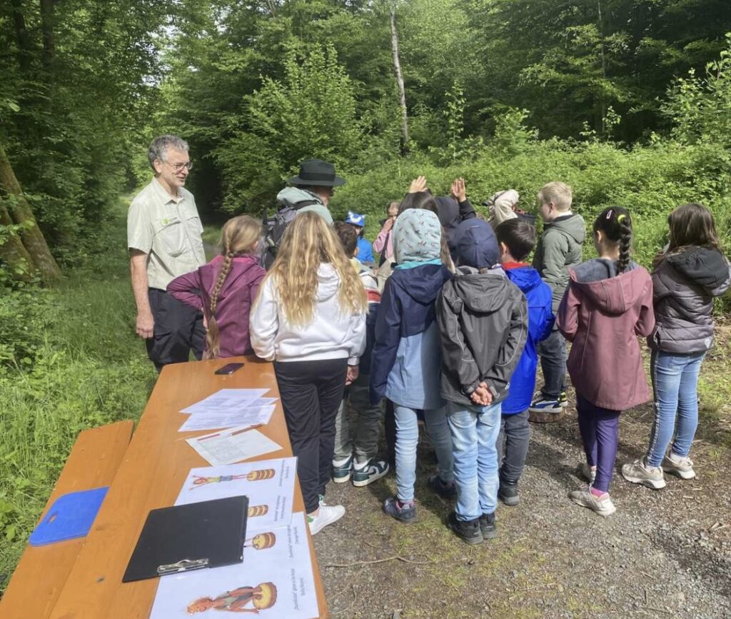 Schulklasse gemeinsam mit Förster im Wald
