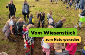 Titelbild Vom Wiesenstück zum Naturparadies – Ein toller Aktionstag unserer Erstklässler